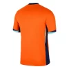 Niederlande Euro 2024 Heimtrikot EM 24-25 orange Kurzarm