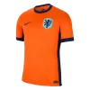 Niederlande Euro 2024 Heimtrikot EM 24-25 orange Kurzarm-1