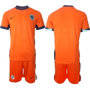 Niederlande Euro 2024 Heimtrikot EM 24-25 orange Personalisierbar