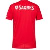 Billige Fussballtrikots Herren Benfica Heimtrikot 2024-25 rot Kurzarm-1